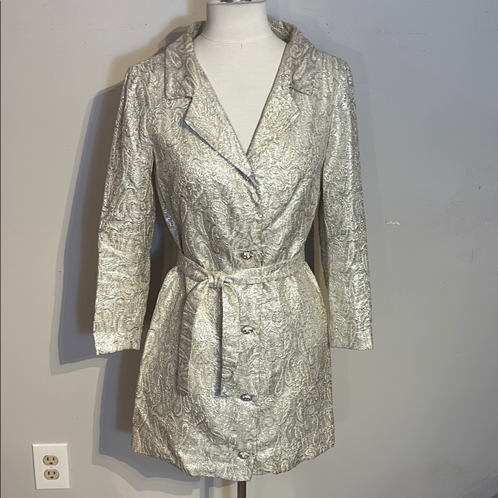 Vintage 1960's Elegant Silver Women's Coat Dress
